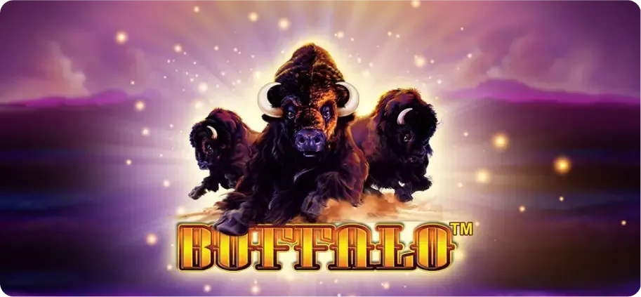 a1df32a2 112b 4429 9bcf 00ce363764d1 web